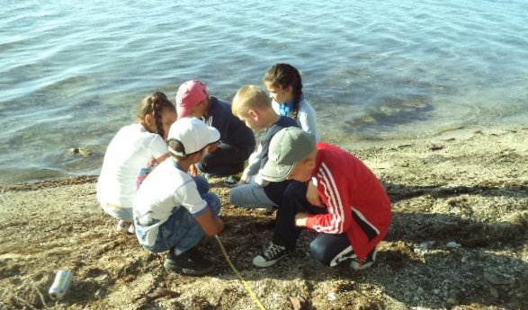 Estudiantes en actividades del proyecto Tarea vida